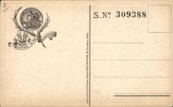 CPA Militaria Journee du poilu Decembre 1915