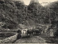 CPA Folklore L'Auvergne Paysans sur la route dans la montagne 