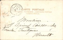 Caballo de la camisa de deportes de la POSTAL de la VENDIMIA