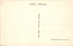 VINTAGE POSTCARD Mixed Co of Navigation Co Touache Steamer El Djezair