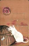 CPA Souris blanche