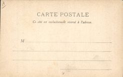 VINTAGE POSTCARD Rat Mouse