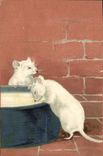 CPA Souris blanche
