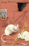 CPA Souris blanche