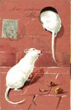 CPA Souris blanche