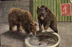 CPA Les ours bruns 