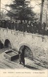CPA Ours Paris Jardin des plantes L'ours Martin 