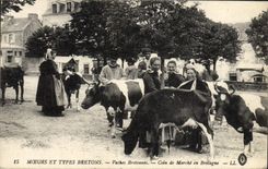 CPA Folklore Bretagne Vaches bretonnes Coin du marche Vaches 