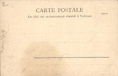 CPA Attelage de boeufs 