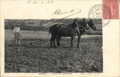 CPA Attelage Berry Scene de labourage Chevaux Cheval Charrue