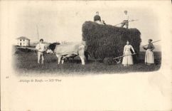 CPA Attelage de boeufs 