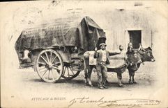 CPA Attelage de boeufs 