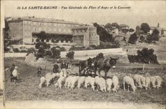 CPA Attelage La Sainte Baume Vue generale du plan d'Aups et le couvent Cheval moutons