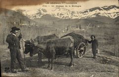CPA Attelage de la Montagne Cevennes