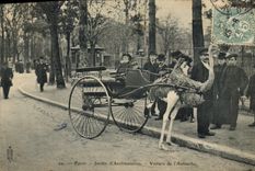 CPA Attelage Jardin d'acclimatation Voiture de l'autruche TOP