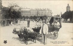 VINTAGE POSTCARD Attelage Lyon Places Bellecour Voiture goats Chevre TOP