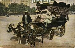 CPA Attelage Lyon La voiture aux chevres place Bellecour Chevre TOP