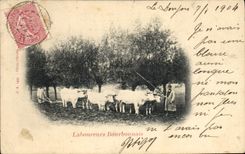 CPA Attelage Laboureurs Bourbonnais Boeufs