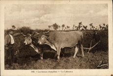 CPA Attelage Les travaux champetres le laboureur