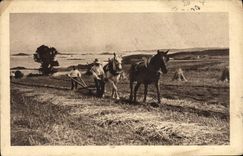 CPA Attelage Labour 