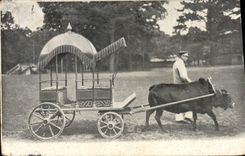VINTAGE POSTCARD Coach