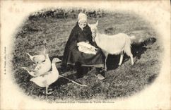 VINTAGE POSTCARD Gardeuse Goat of geese Costume of Marchoise old woman