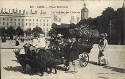 VINTAGE POSTCARD Chevre Lyon Places Bellecour the car at the goats