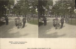 VINTAGE POSTCARD Goat Paris Zoological gardens the car to the goats