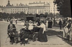 CPA Chevre Lyon Place Bellecour La voiture aux chevres 