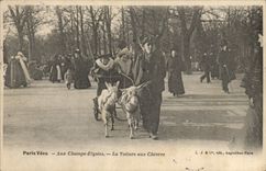 CPA Chevre Paris Champs Elysees Les voitures aux chevres TOP