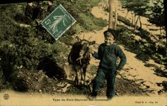 VINTAGE POSTCARD Standard Goat's milk cheese of small Chevrier of the Cevennes