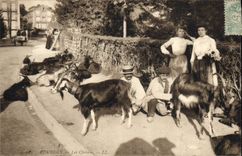 CPA Chevre Lourdes Les chevres TOP
