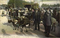 CPA Chevre Lyon Place Bellecour La voiture aux chevres 