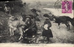 VINTAGE POSTCARD Goat the Pyrenees Chevrier Child