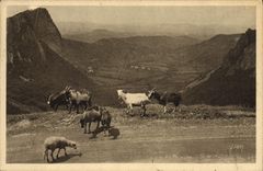 CPA Chevre Environs du Mont Dore Vallee de la Sioule et les roches Sanadoire et Tuiliere 