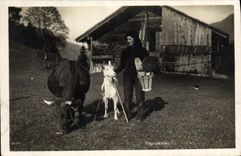 VINTAGE POSTCARD Peasant Goat Cow