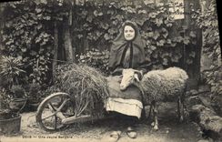 VINTAGE POSTCARD a young shepherdess Sheep TOP