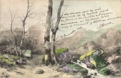 CPA Fantaisie Illustrateur Sous-bois