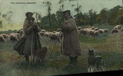 CPA Folklore Une rencontre pastorale Moutons Chien
