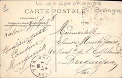 CPA Folklore Le retour du troupeau 