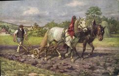 VINTAGE POSTCARD Coach Horse Ploughings Tilling