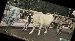 VINTAGE POSTCARD Attelage Centers France Bourbonnais Coach