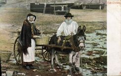 VINTAGE POSTCARD Coach Fish Carriers Ass Mile