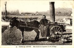 CPA Attelage Type du Centre Marchande de legumes et son attelage Ane Mule