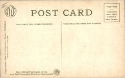 VINTAGE POSTCARD Coach Ass Mule Algeria New York Zoological Park