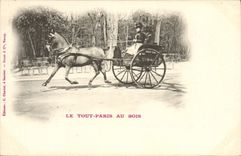 CPA Attelage Cheval Le Tout Paris au bois Paris