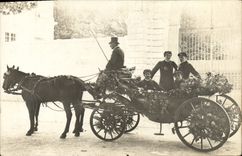 CARTE PHOTO Attelage Chevaux 