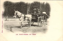 CPA Attelage Le Tout Paris au bois Chevaux Paris