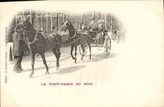 CPA Attelage Le Tout Paris au bois Chevaux Paris