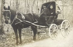 CARTE PHOTO Attelage Cheval